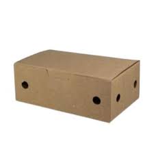 Caja Fritos Antigrasa Grande (14x10x6cm)