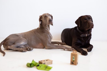 Carica l&#39;immagine nel visualizzatore di Gallery, Borse per cani compostabili, rotolo da 15 unità 
