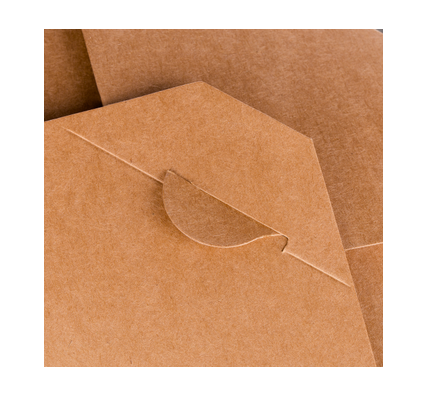 Envase Take Away 900ml (10x16x6.5cm)